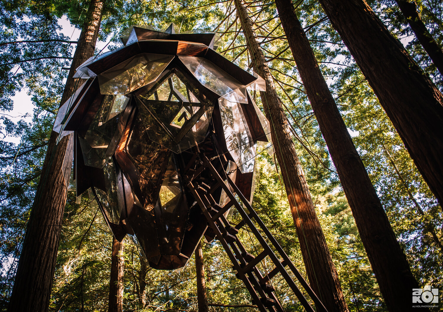 Pinecone treehouse o2 O2 Treehouse Pinecone